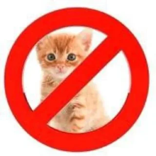 🚫