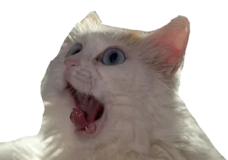 😱