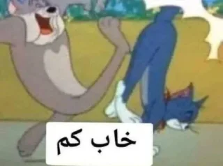 😂