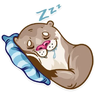 😴