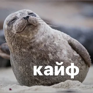 😌