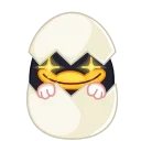 🐣