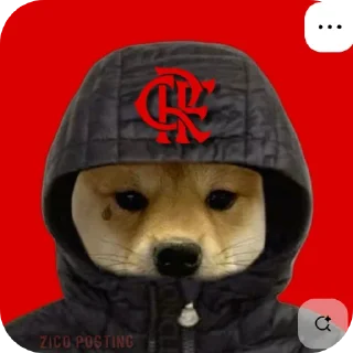 🐶
