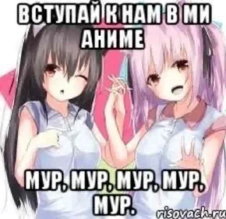 💓