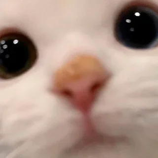 🥰
