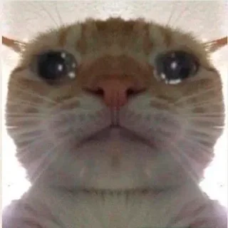 🥺