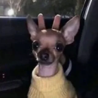 🙂