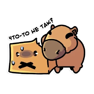 🦫