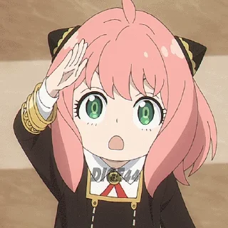 👩‍✈️