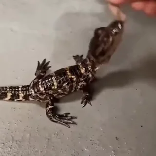 🥰