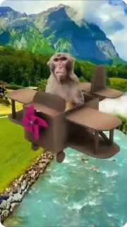 ✈