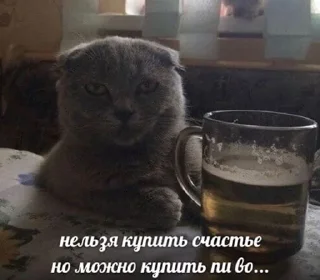 🍺