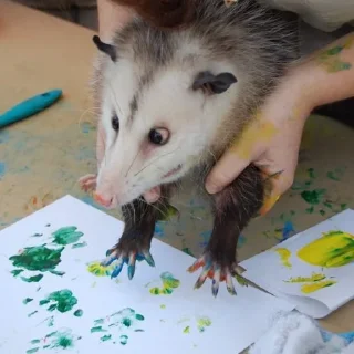 👨‍🎨