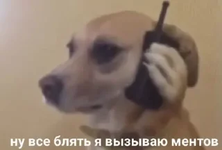 📞