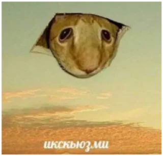 💒