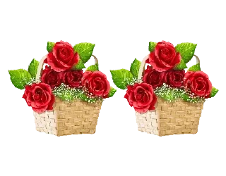 🌹