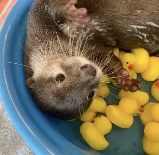 🙂