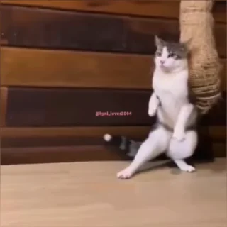 🥊