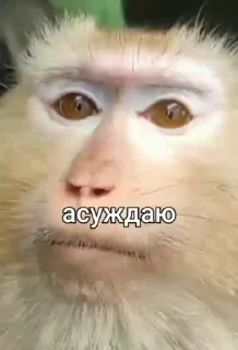 😡
