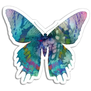 🦋