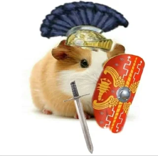 🐹