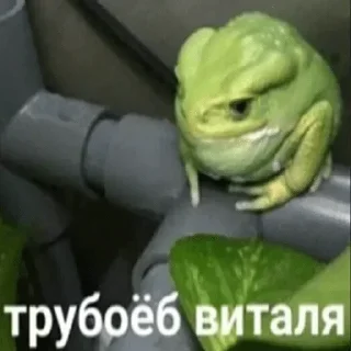 😶