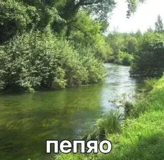 🧂