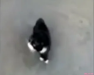 😡