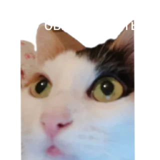 🧐