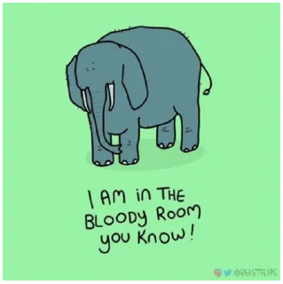 🐘