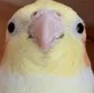 ☺️