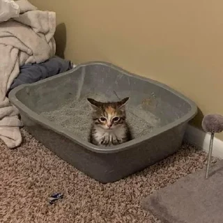 😎