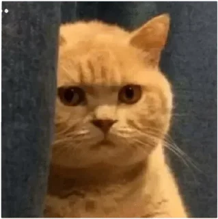 👀