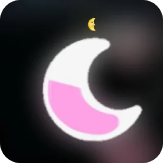 🌜