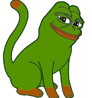 🐱