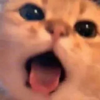 😛