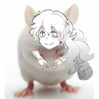 🐀