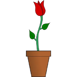 🌷