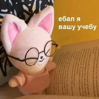 😪