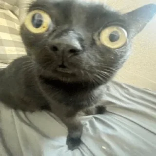 😳