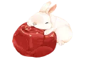 🐰