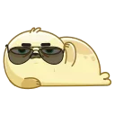 😎