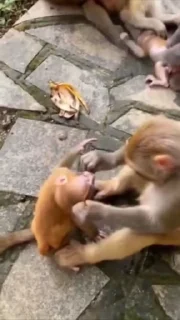 😱