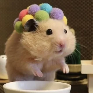 🙂