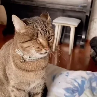 😎