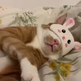 😘
