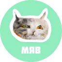 🐱