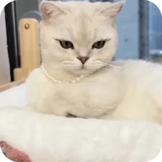 😍