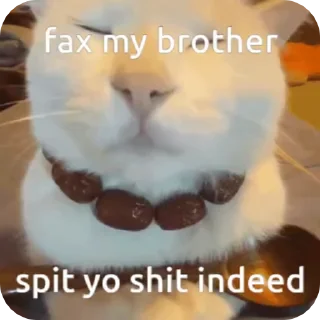 🌟