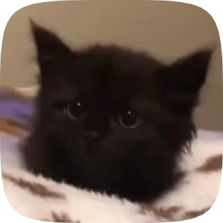 🥺